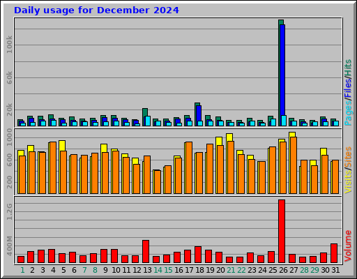 Daily usage for December 2024