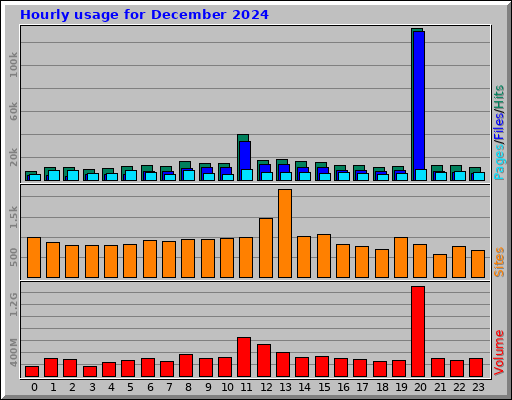 Hourly usage for December 2024